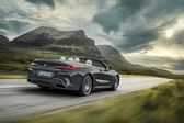 BMW 8 Series Convertible (G14) 840d (320 Hp) xDrive Steptronic 2019 - 2020