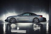 BMW 8 Series Convertible (G14) M850i (530 Hp) xDrive Steptronic 2020 - present