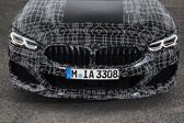 BMW 8 Series (G15) 840d (340 Hp) MHEV xDrive Steptronic 2020 - present