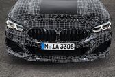 BMW 8 Series (G15) M850i (530 Hp) xDrive Steptronic 2020 - present