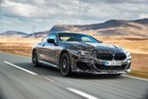 BMW 8 Series (G15) M850i (530 Hp) xDrive Steptronic 2020 - present