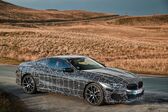 BMW 8 Series (G15) M850i (530 Hp) xDrive Steptronic 2020 - present