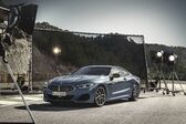 BMW 8 Series (G15) M850i (530 Hp) xDrive Steptronic 2020 - present