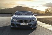 BMW 8 Series (G15) 840i (333 Hp) xDrive Steptronic 2020 - present