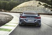 BMW 8 Series (G15) 840d (340 Hp) MHEV xDrive Steptronic 2020 - present