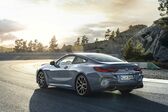 BMW 8 Series (G15) M850i (530 Hp) xDrive Steptronic 2020 - present