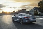 BMW 8 Series (G15) M850i (530 Hp) xDrive Steptronic 2020 - present