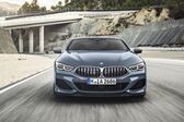 BMW 8 Series (G15) M850i (530 Hp) xDrive Steptronic 2020 - present