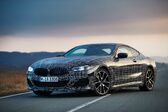 BMW 8 Series (G15) 2018 - 2020