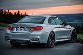 BMW M4 Convertible (F83) 2014 - 2020