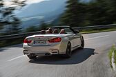 BMW M4 Convertible (F83) 2014 - 2020