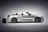 BMW M4 Convertible (F83) 2014 - 2020