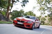 BMW M6 Coupe (F13M LCI, facelift 2014) Competition Edition 4.4 V8 (600 Hp) DCT 2015 - 2018