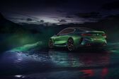 BMW M8 Gran Coupe (Concept) 2017 - 2017