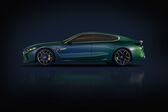 BMW M8 Gran Coupe (Concept) 2017 - 2017