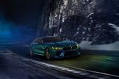 BMW M8 Gran Coupe (Concept) 2017 - 2017