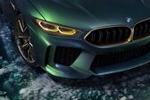 BMW M8 Gran Coupe (Concept) 2017 - 2017