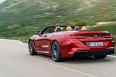 BMW M8 Convertible 2019 - present