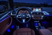 BMW X3 (G01) 30d (265 Hp) xDrive Steptronic 2017 - 2020