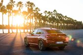 BMW X4 (G02) 30d (286 Hp) xDrive MHEV Steptronic 2020 - 2021