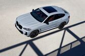 BMW X4 (G02 LCI, facelift 2021) 30d (286 Hp) MHEV xDrive Steptronic 2021 - present