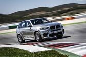 BMW X5 M (F85) 4.4 V8 (575 Hp) xDrive Steptronic 2015 - 2018