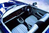 Bristol Speedster 5.9 i V8 3S (390 Hp) 2003 - 2011