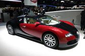 Bugatti Veyron Coupe 8.0 W16 (1001 Hp) AWD DSG 2005 - 2011