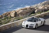 Bugatti Veyron Targa Grand Sport 8.0 W16 (1001 Hp) AWD DSG 2009 - 2015