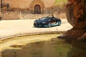 Bugatti Veyron Targa Grand Sport 8.0 W16 (1001 Hp) AWD DSG 2009 - 2015