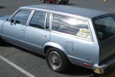 Chevrolet Malibu IV Station Wagon 5.0 V8 (155 Hp) CAT Automatic 1980 - 1981