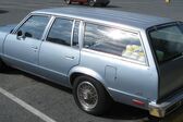 Chevrolet Malibu IV Station Wagon 4.4 V8 (125 Hp) CAT 1978 - 1979