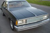 Chevrolet Malibu IV Sport Coupe 3.8 V6 (110 Hp) Automatic 1979 - 1980