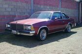 Chevrolet Malibu IV Sport Coupe 3.8 V6 (105 Hp) CAT Automatic 1977 - 1978