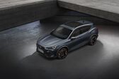 Cupra Formentor 2.0 TSI (190 Hp) 4Drive DSG 2021 - present