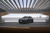 Cupra Formentor 2.0 TSI (190 Hp) 4Drive DSG 2021 - present