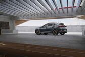 Cupra Formentor 2.0 TSI (190 Hp) 4Drive DSG 2021 - present