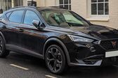 Cupra Formentor 2.0 TSI (190 Hp) 4Drive DSG 2021 - present