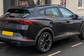 Cupra Formentor 2.0 TSI (190 Hp) 4Drive DSG 2021 - present