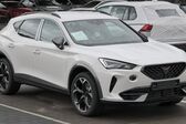Cupra Formentor 2.0 TSI (190 Hp) 4Drive DSG 2021 - present