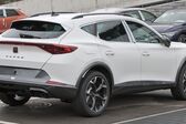 Cupra Formentor 2.0 TSI (190 Hp) 4Drive DSG 2021 - present