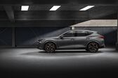 Cupra Formentor 2.0 TSI (190 Hp) 4Drive DSG 2021 - present
