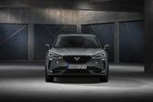 Cupra Formentor 2.0 TSI (190 Hp) 4Drive DSG 2021 - present
