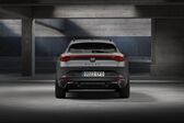 Cupra Formentor 2.0 TSI (190 Hp) 4Drive DSG 2021 - present
