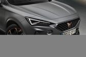 Cupra Formentor 2.0 TSI (190 Hp) 4Drive DSG 2021 - present