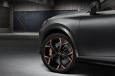 Cupra Formentor 2.0 TSI (190 Hp) 4Drive DSG 2021 - present