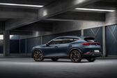 Cupra Formentor 2.0 TSI (190 Hp) 4Drive DSG 2021 - present