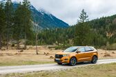 Ford Edge II 2.7 V6 (316 Hp) AWD Automatic 2015 - 2018