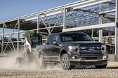 Ford F-Series F-150 XIII SuperCrew (facelift 2018) Raptor 3.5 V6 (450 Hp) 4x4 Automatic 2018 - 2020