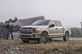 Ford F-Series F-150 XIII SuperCrew (facelift 2018) 3.5 V6 (375 Hp) Automatic 2018 - 2020